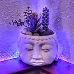Namaste Lejlighed *