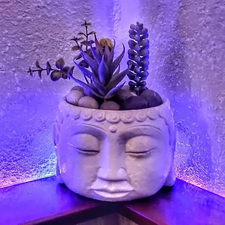 Namaste Lejlighed *