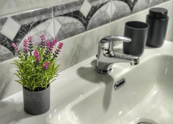 Namaste 阿维莱斯